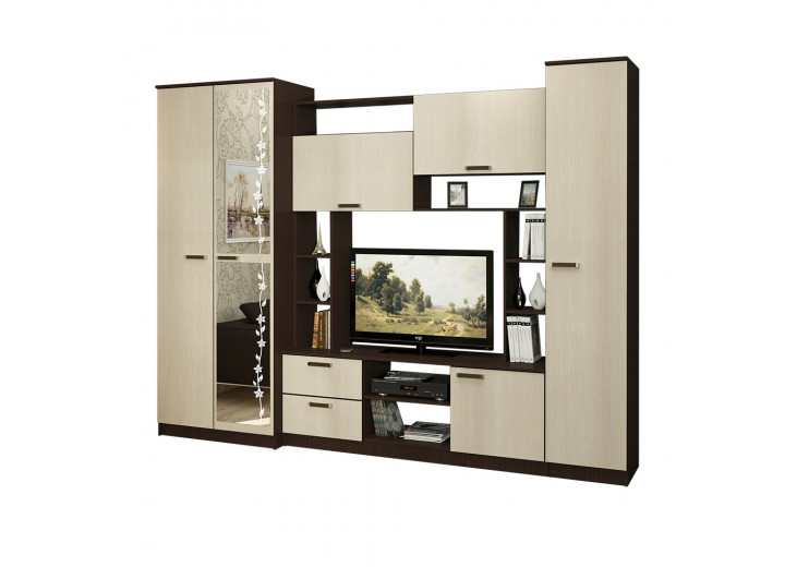 Гостиная Флора (2700х540х2100)