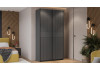 Шкаф-купе с 2 глухими дверями «Оскар Хилтон» Ручка черная, Серый графит, Графит матовый