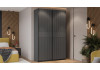 Шкаф-купе с 2 глухими дверями «Оскар Хилтон» Ручка черная, Серый графит, Графит матовый