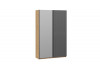 Шкаф-купе с 1 глухой и 1 зеркальной дверями «Оскар Хилтон» Ручка черная, Дуб Крафт золотой, Графит матовый