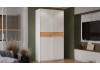 Шкаф-купе с 2 глухими дверями «Оскар Скания» Ручка белая, Белый снег, Дуб тортугга