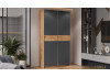 Шкаф-купе с 2 глухими дверями «Оскар Скания» Ручка серебро, Дуб Крафт золотой, Серый графит, Дуб тортугга