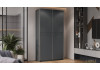 Шкаф-купе с 2 глухими дверями «Оскар Скания» Ручка серебро, Серый графит, Графит матовый