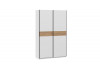 Шкаф-купе с 2 глухими дверями «Оскар Скания» Ручка черная, Белый снег, Дуб тортугга