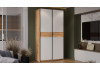 Шкаф-купе с 2 глухими дверями «Оскар Скания» Ручка черная, Дуб Крафт золотой, Белый снег, Дуб тортугга