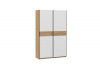 Шкаф-купе с 2 глухими дверями «Оскар Скания» Ручка черная, Дуб Крафт золотой, Белый снег, Дуб тортугга