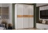 Шкаф-купе с 3 глухими дверями «Оскар Скания» Ручка белая, Белый снег, Дуб тортугга